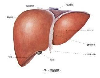无痛引产症状表现